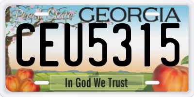 GA license plate CEU5315