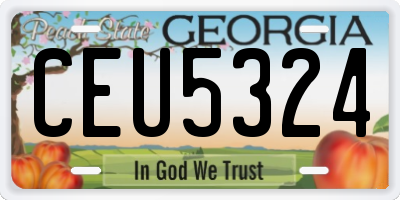 GA license plate CEU5324