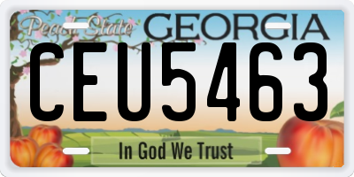 GA license plate CEU5463