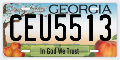 GA license plate CEU5513