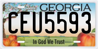 GA license plate CEU5593
