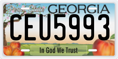 GA license plate CEU5993