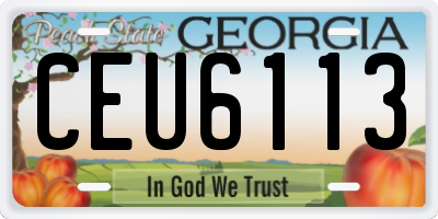 GA license plate CEU6113