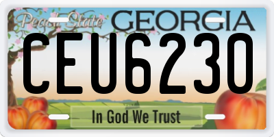 GA license plate CEU6230