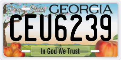 GA license plate CEU6239