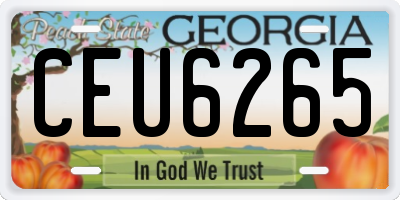 GA license plate CEU6265