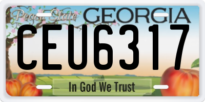 GA license plate CEU6317