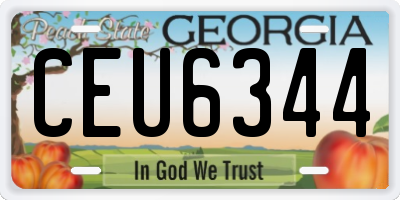 GA license plate CEU6344