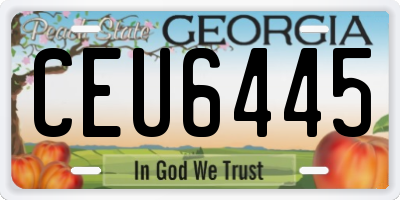 GA license plate CEU6445