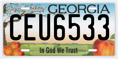 GA license plate CEU6533