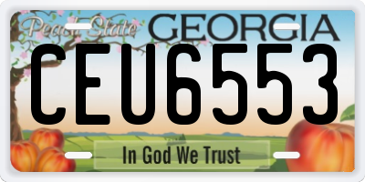GA license plate CEU6553