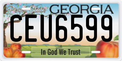 GA license plate CEU6599