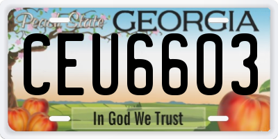 GA license plate CEU6603