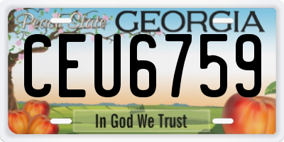 GA license plate CEU6759