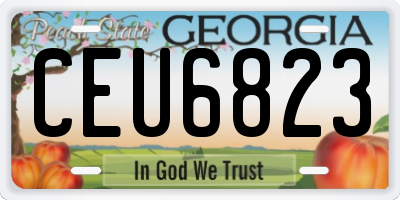 GA license plate CEU6823