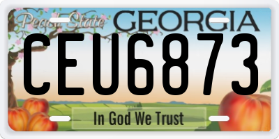 GA license plate CEU6873