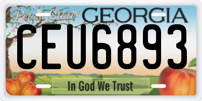 GA license plate CEU6893