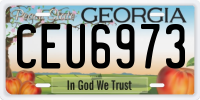 GA license plate CEU6973