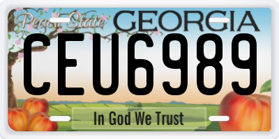GA license plate CEU6989
