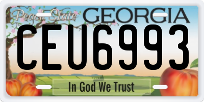GA license plate CEU6993
