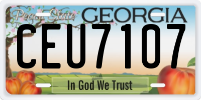 GA license plate CEU7107