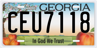 GA license plate CEU7118