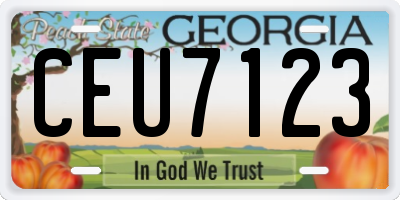 GA license plate CEU7123