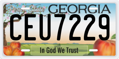 GA license plate CEU7229