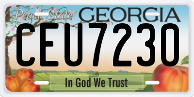 GA license plate CEU7230