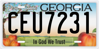 GA license plate CEU7231