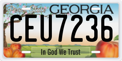 GA license plate CEU7236
