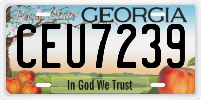 GA license plate CEU7239