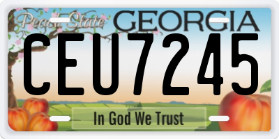 GA license plate CEU7245