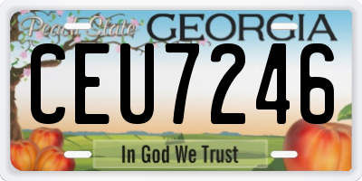GA license plate CEU7246