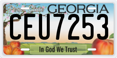 GA license plate CEU7253