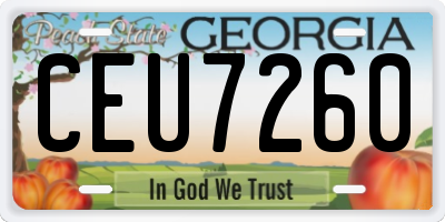 GA license plate CEU7260