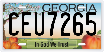 GA license plate CEU7265