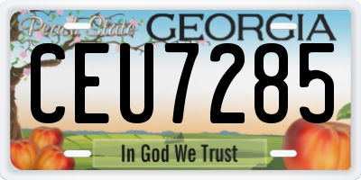 GA license plate CEU7285