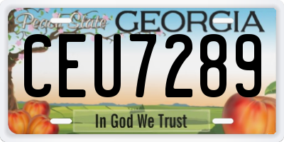 GA license plate CEU7289
