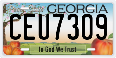 GA license plate CEU7309
