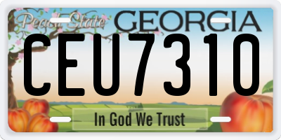 GA license plate CEU7310