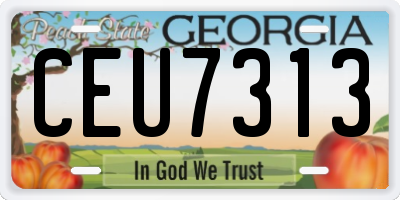GA license plate CEU7313