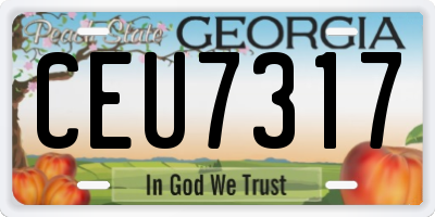 GA license plate CEU7317