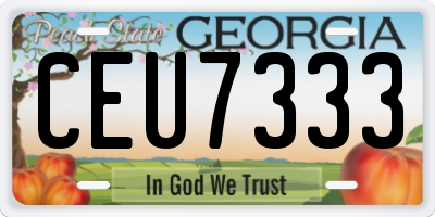 GA license plate CEU7333