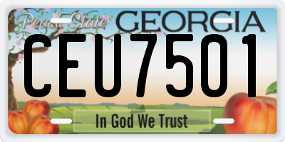 GA license plate CEU7501