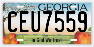 GA license plate CEU7559