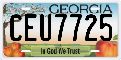 GA license plate CEU7725