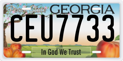 GA license plate CEU7733