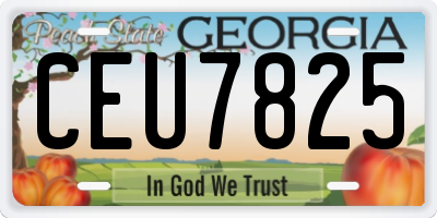GA license plate CEU7825