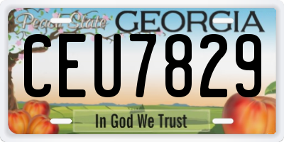 GA license plate CEU7829